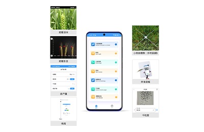 韶关市小麦表型检测仪IN-XM04