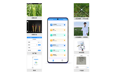 韶关市小麦表型测量仪IN-XM05